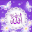 عکس کاربر - محمد قائم