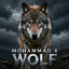 عکس کاربر - MOHAMAD X WOLF