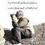 عکس کاربر - منتقم حاج قاسم 