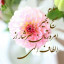 عکس کاربر - امامی