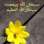 عکس کاربر - محمد