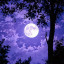 عکس کاربر - 🌙 Moon