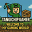 عکس کاربر - tangichip gamer