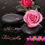 عکس کاربر - مرجان