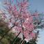 عکس کاربر - F.soltani.p