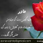 عکس کاربر - ماهان