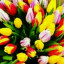 عکس کاربر - فاطمه رحمانی