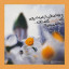 عکس کاربر - بنت مهدی عج
