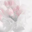 عکس کاربر - 🎀 𝒜𝒩𝐼ℳ𝐸𝐸𝐿𝒜𝐻𝐸 🎀