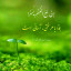عکس کاربر -  محمد پارسا