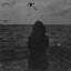 عکس کاربر - EIisa 🩶🐦‍⬛🏝