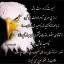 عکس کاربر - سوباسا اوزارا