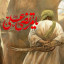 عکس کاربر - محمد حسین شریفی