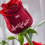 عکس کاربر - گل نرجس