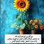 عکس کاربر - زندگی با ائمه شیرین است❤