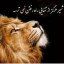 عکس کاربر - vasam
