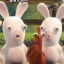 عکس کاربر - Rabit invasion🐰