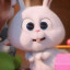 عکس کاربر - bunny