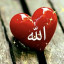عکس کاربر - امیر محمد