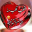 عکس کاربر - عالی 