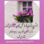 عکس کاربر - سلطانی