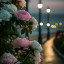عکس کاربر - sedna sorodi