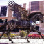 عکس کاربر - تاجی 