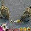 عکس کاربر - زهرا م