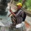 عکس کاربر - omid1080