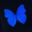 عکس کاربر - Blue