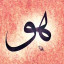 عکس کاربر - حسین امیری 