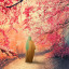 عکس کاربر - hoseyn