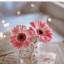 عکس کاربر - ساناز