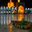 عکس کاربر - سامان دشتی