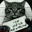 عکس کاربر - گربه زندانی