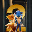 عکس کاربر - sonic 
