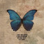 عکس کاربر - 🦋ꜱᴀᴛᴏ ᴛᴀᴍɪᴋᴏ ʙᴜᴛᴛᴇʀꜰʟ🦋