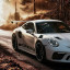 عکس کاربر - 911carera
