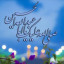 عکس کاربر - bita