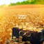 عکس کاربر - mahbobeh62