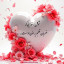 عکس کاربر - الی