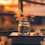 عکس کاربر - M.A