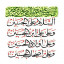 عکس کاربر - YaZahra 