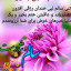 عکس کاربر - محمد هادی عاجلی