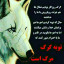 عکس کاربر - مارال