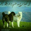 عکس کاربر - سگباز