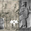 عکس کاربر - محمدحسن 