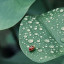 عکس کاربر - سید ابوالفضل مطهری