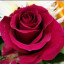عکس کاربر - 223652