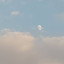 عکس کاربر - narges